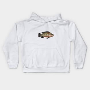 Banded Jewelfish Kids Hoodie